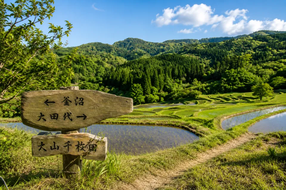 大山千枚田