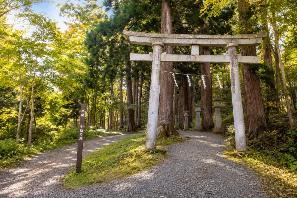 桜松公園