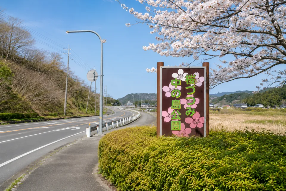 桜づつみ中の島公園
