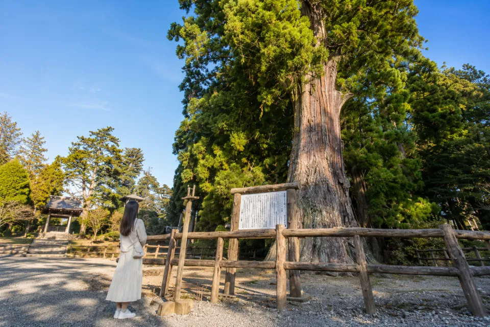 清澄寺