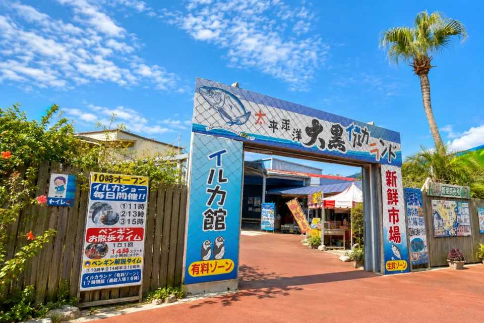 志布志湾大黒 イルカランド