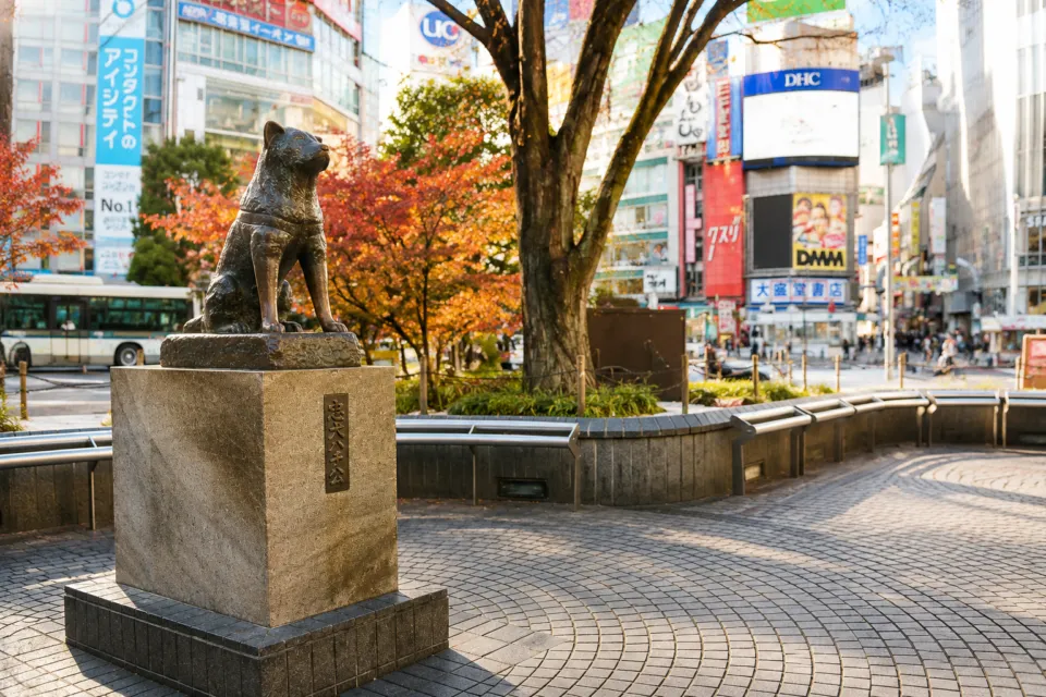 渋谷センター街
