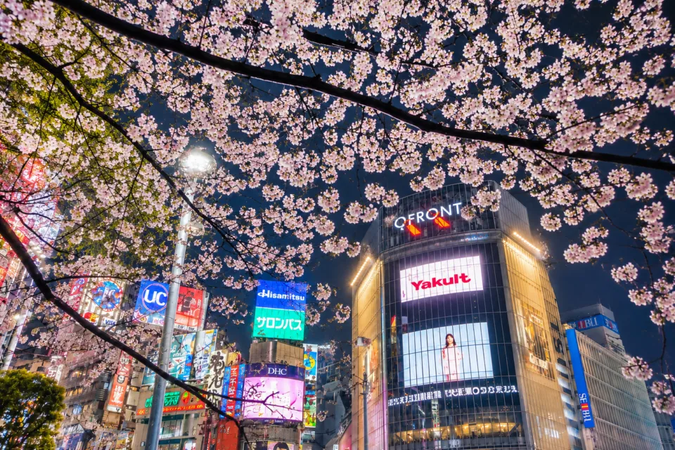 渋谷スクランブル交差点
