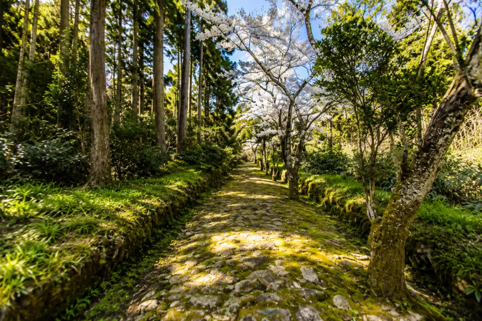 曹源寺（鳥取県）