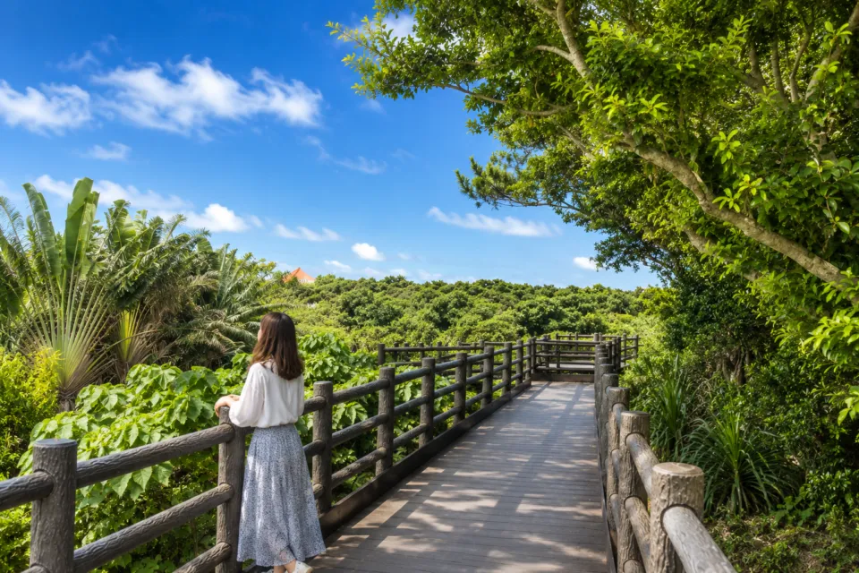 玉取崎展望台