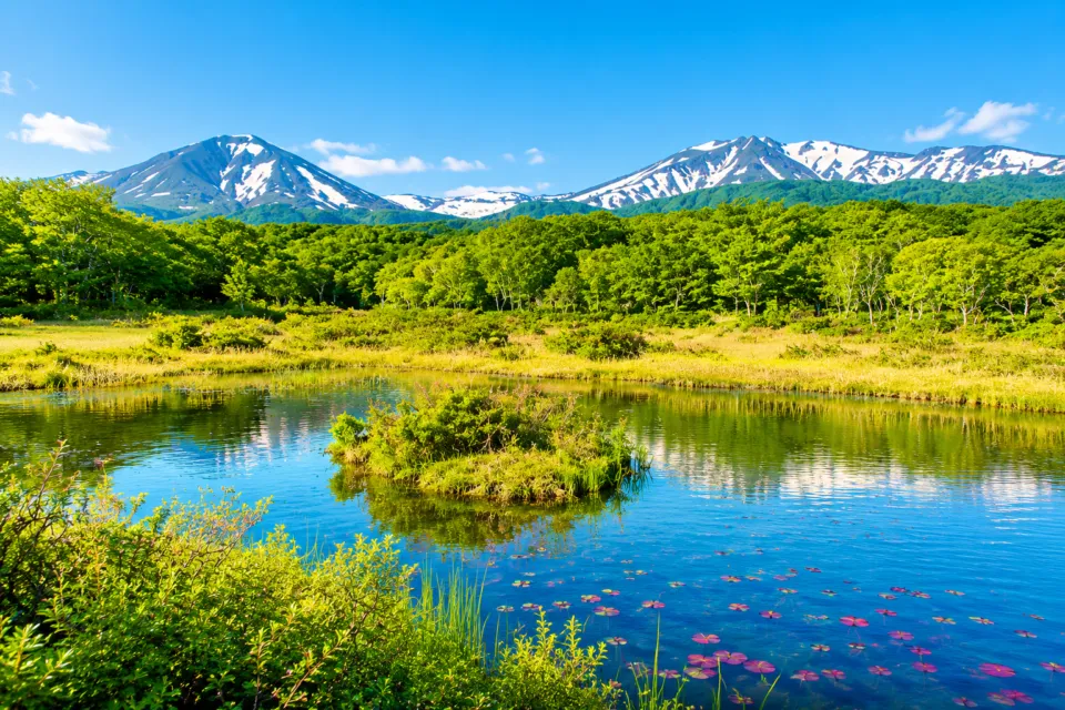 田代平湿原