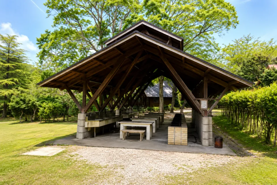内浦山県民の森