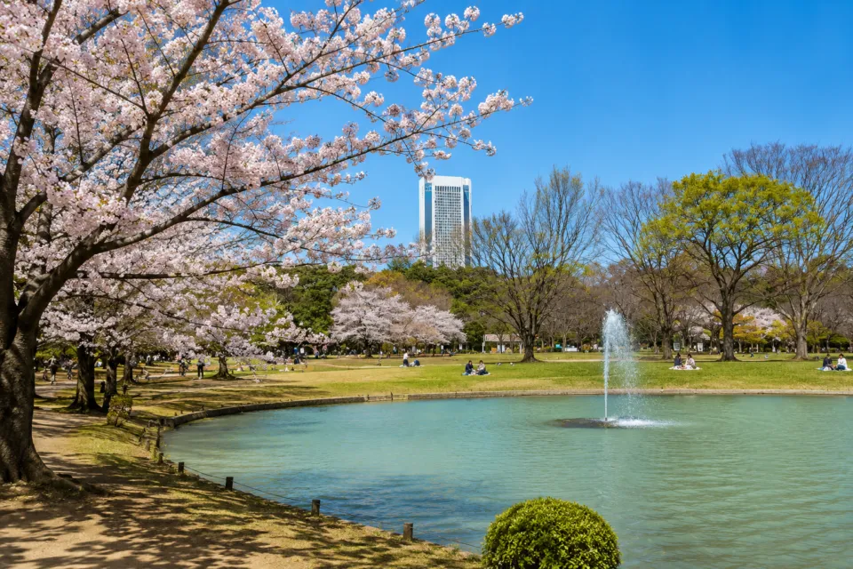 代々木公園