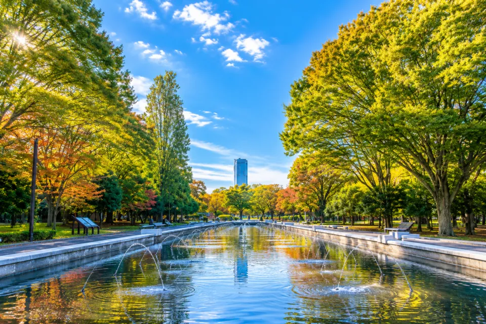 代々木公園