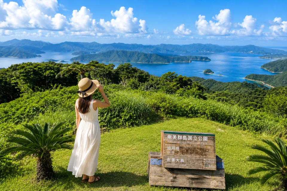 油井岳展望台