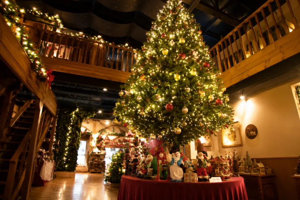 クリスマスの森・サンタクロースミュージアム