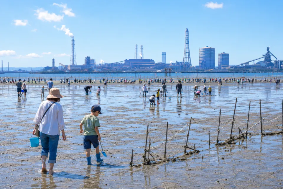 江川海岸潮干狩場