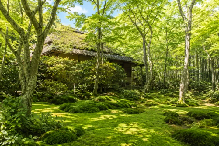 祇王寺