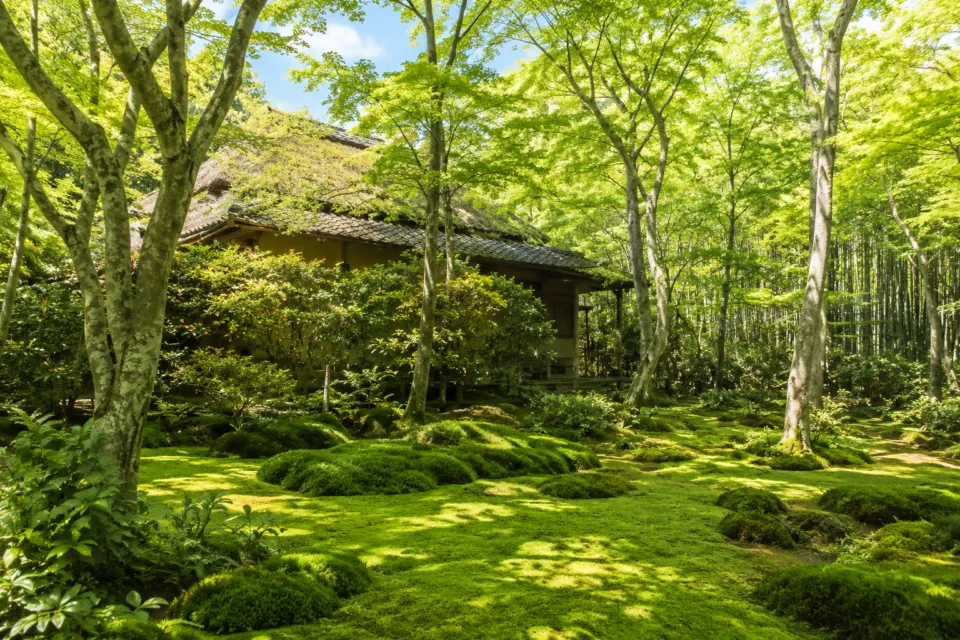 祇王寺