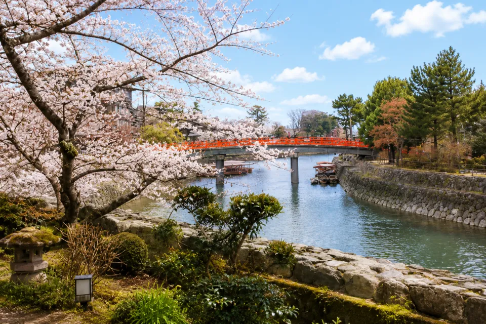 花やしき浮舟園の桜と朱塗りの橋を望む景色