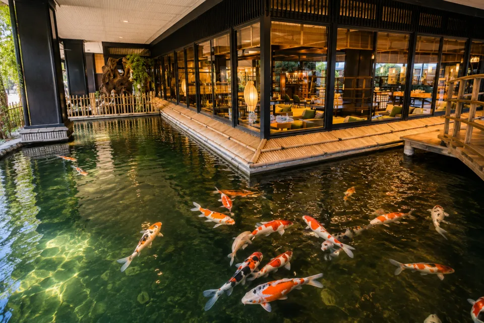 飛騨亭 花扇の錦鯉が泳ぐ館内池とラウンジ