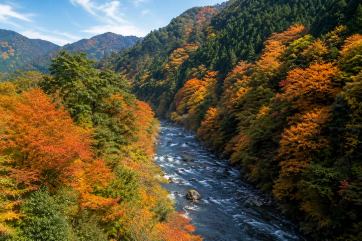 氷川渓谷