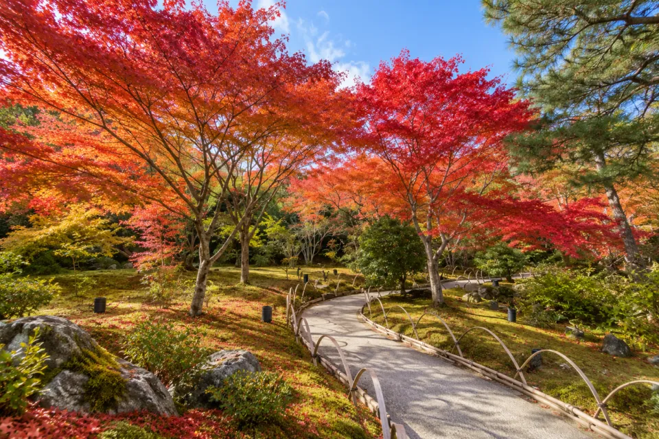 宝厳院（京都）