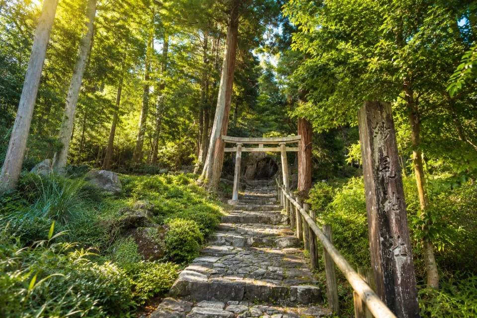 岩屋岩蔭遺跡