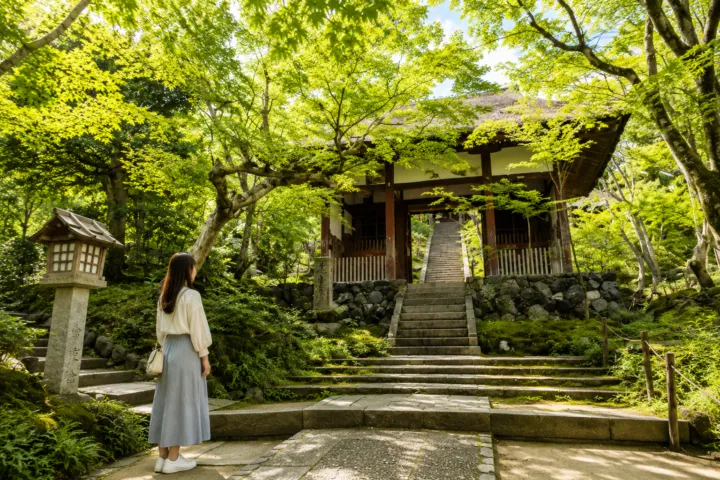 常寂光寺（京都）