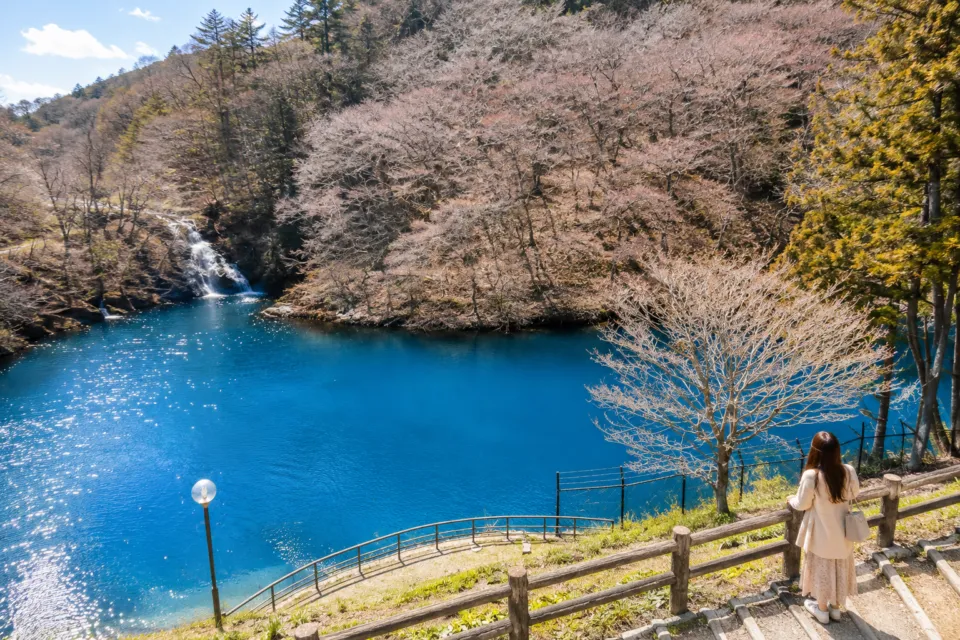 桃太郎の滝