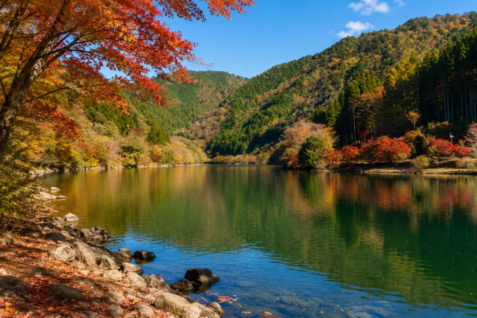 中山七里