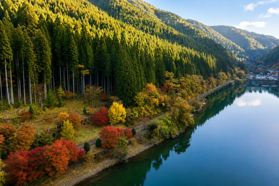 中山七里