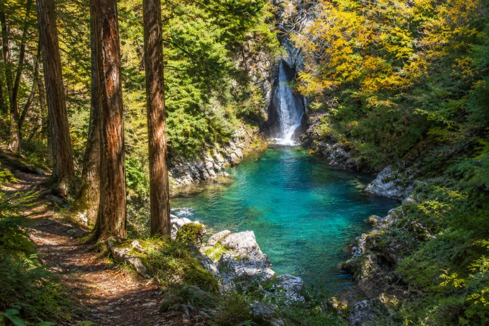 にこ淵