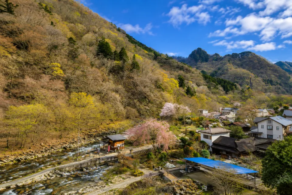 日光千姫物語の新緑と桜が彩る山里の眺望