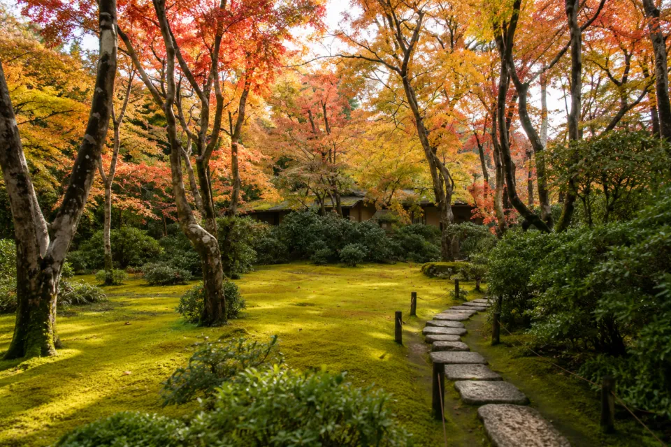 大河内山荘庭園