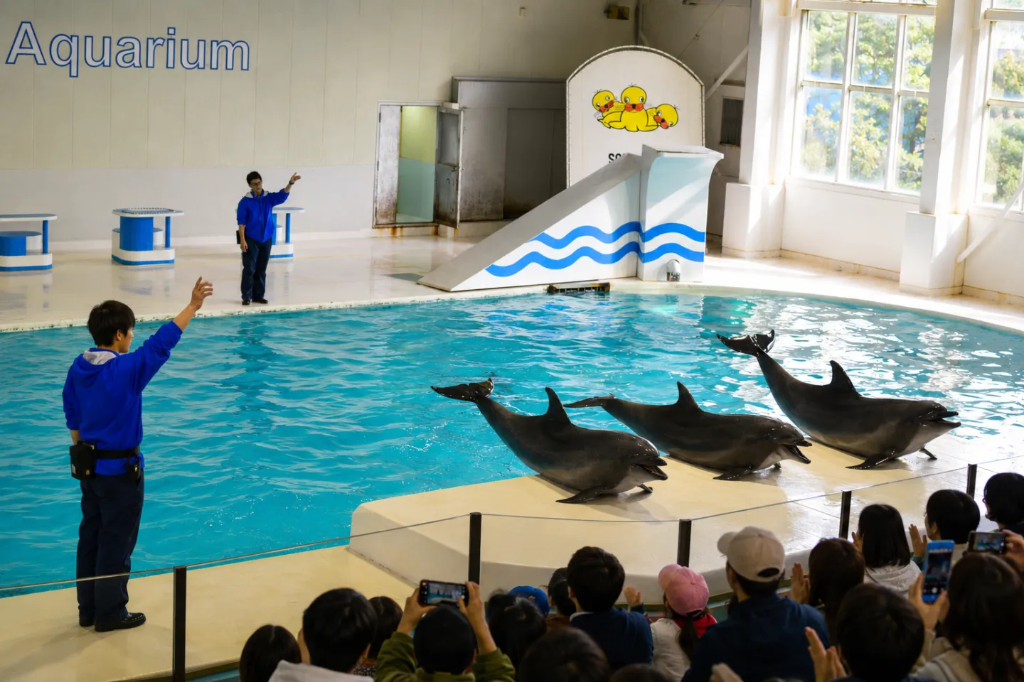 おたる水族館