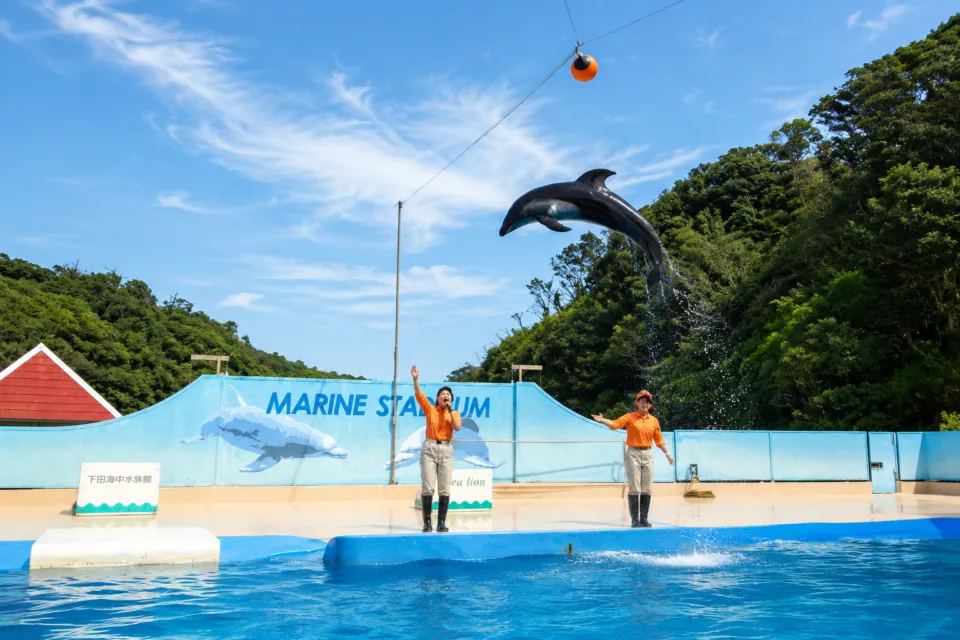 下田海中水族館