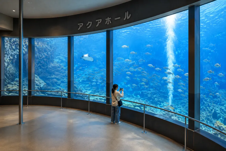 下田海中水族館