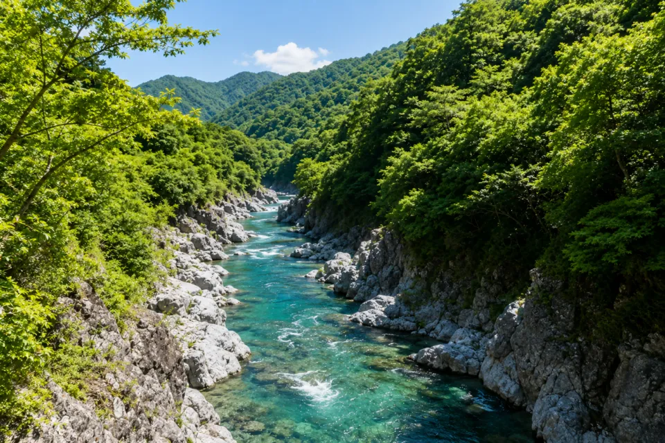 白丸ダム