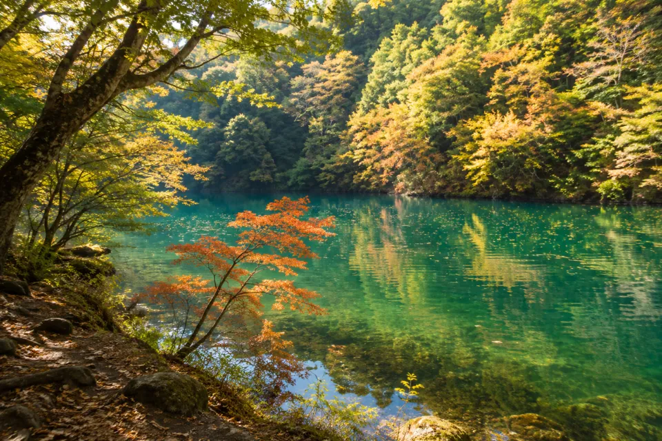 白丸湖（白丸調整池）
