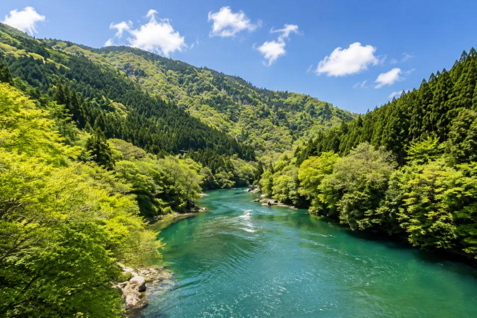 白丸湖（白丸調整池）