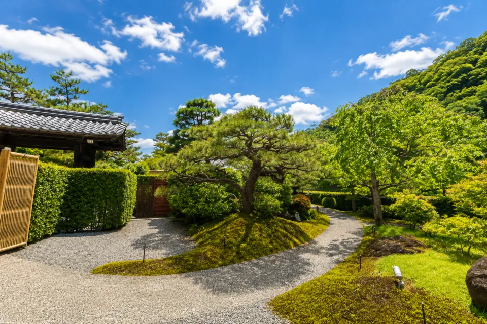 翠嵐 ラグジュアリーコレクションホテル 京都の松と苔が広がる庭園