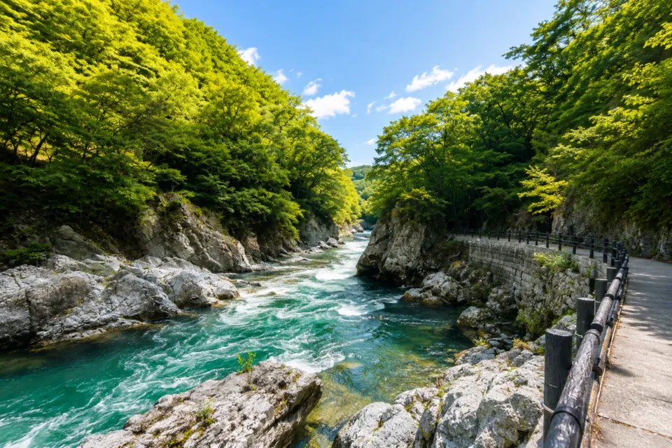 諏訪峡