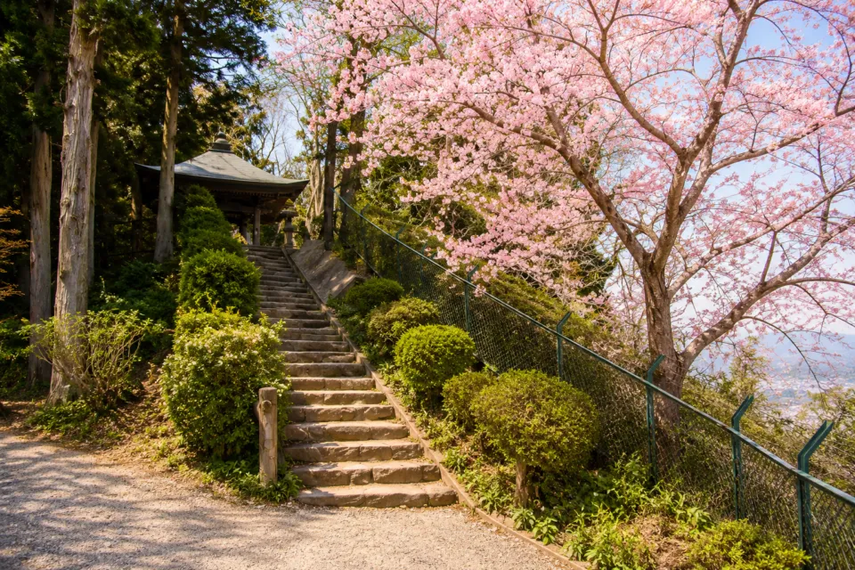 高館義経堂