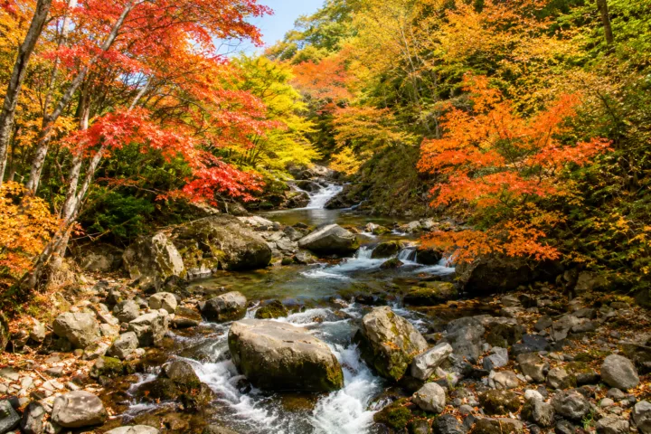 照葉峡