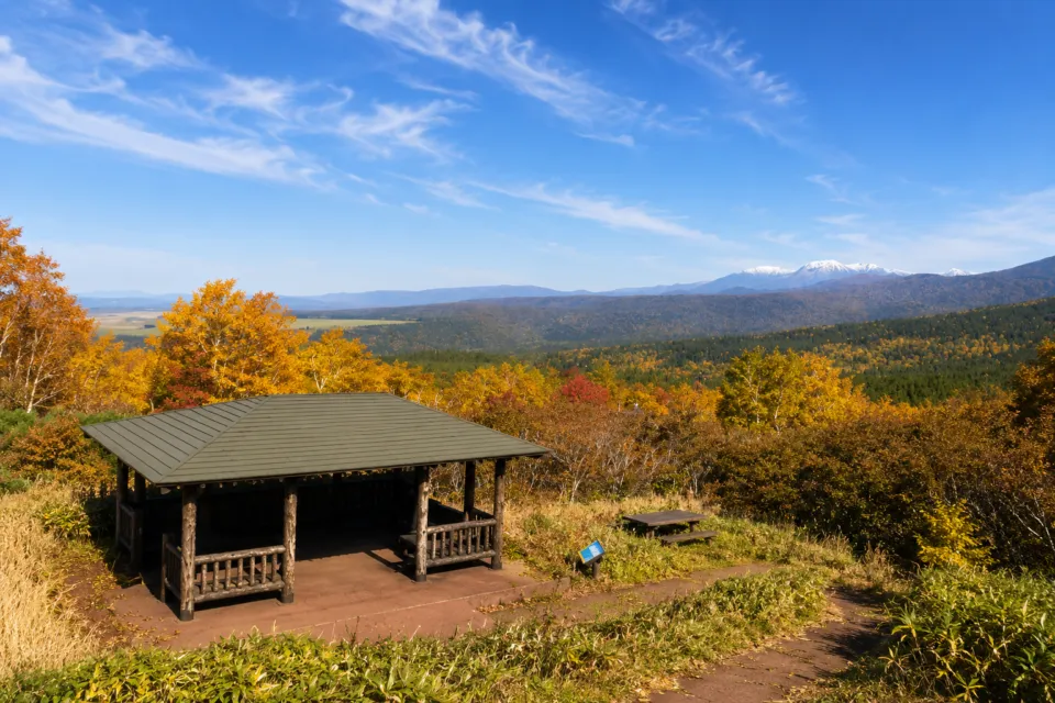 十勝岳望岳台