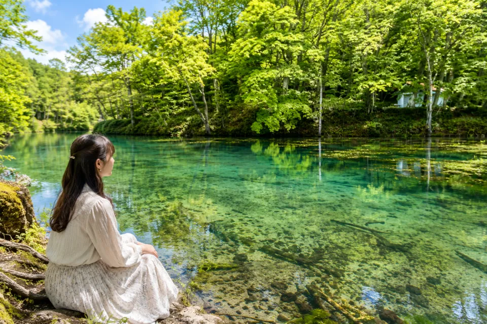 鳥沼公園
