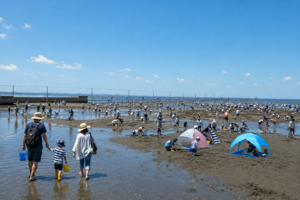 牛込海岸潮干狩場