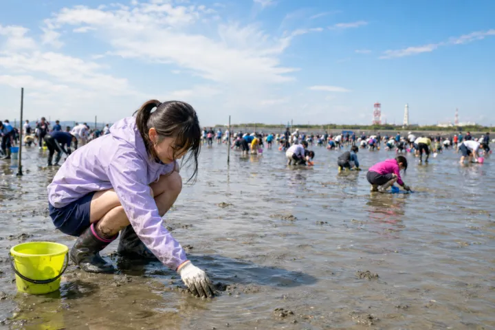 牛込海岸潮干狩場