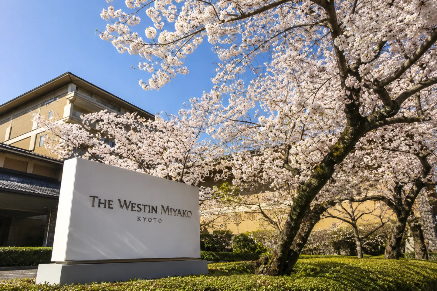 ウェスティン都ホテル京都の桜に囲まれたホテル看板