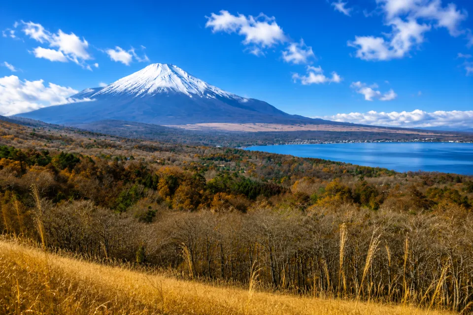 山中湖明神山パノラマ台