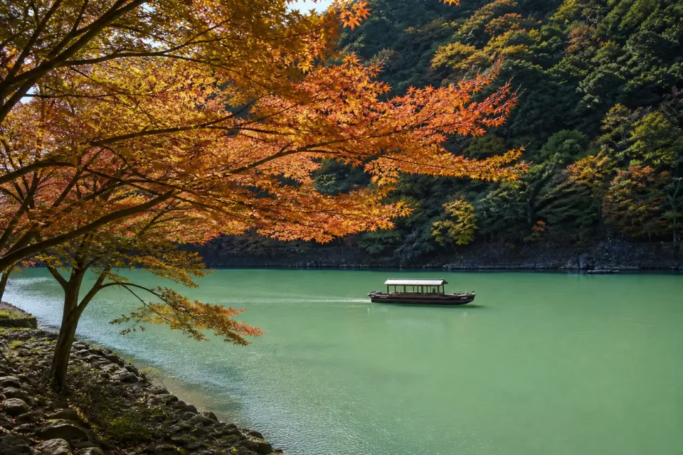 星のや京都の紅葉の大堰川を進む送迎船