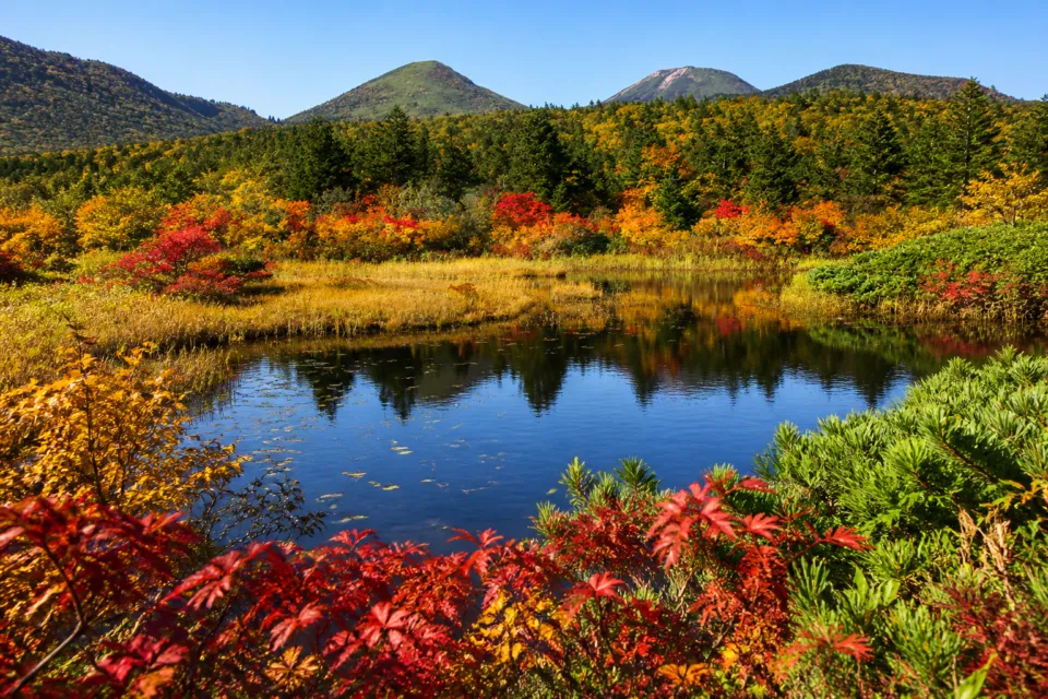 八甲田城ヶ倉温泉 ホテル城ヶ倉の紅葉の湿原景観