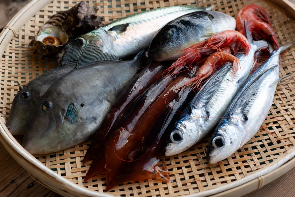 HOTEL OOSADOの佐渡近海の魚介を並べた籠