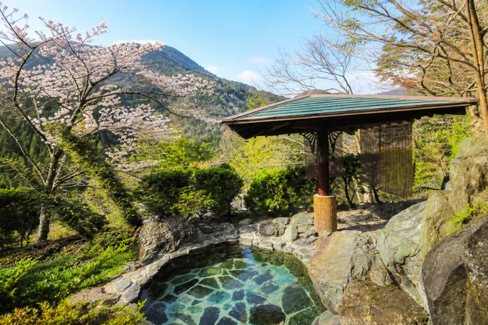 祖谷の宿 かずらやの春の山景色に包まれた露天風呂